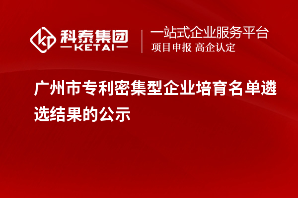 廣州市專利密集型企業培育名單遴選結果的公示