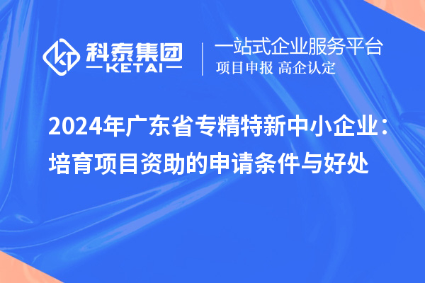 2024年廣東省專精特新中小企業(yè)：培育項目資助的申請條件與好處