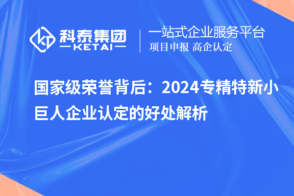 國家級榮譽(yù)背后：2024專精特新小巨人企業(yè)認(rèn)定的好處解析