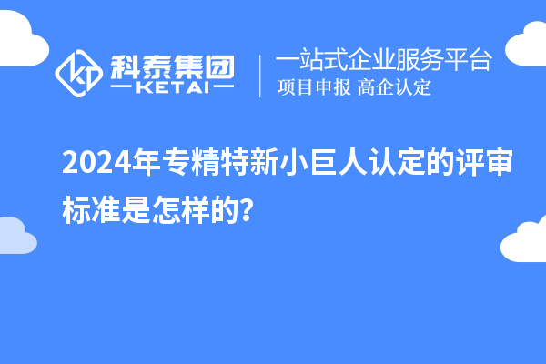 2024年專精特新小巨人認定的評審標準是怎樣的？