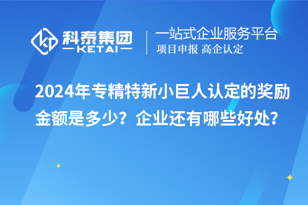 2024年專精特新小巨人認定的獎勵金額是多少？企業還有哪些好處？