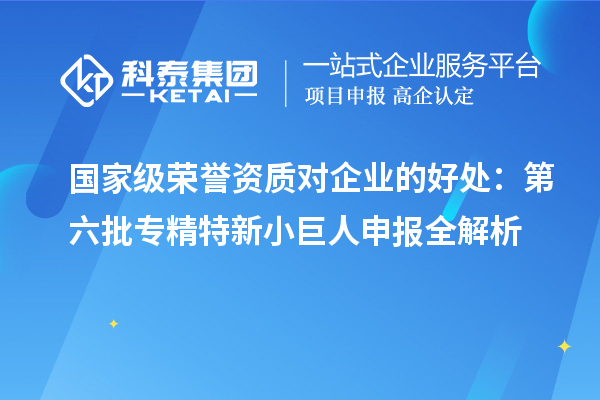 國家級榮譽資質對企業的好處：第六批<a href=http://www.xjsygy.com/fuwu/zhuanjingtexin.html target=_blank class=infotextkey>專精特新小巨人申報</a>全解析