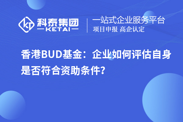 香港BUD基金：企業如何評估自身是否符合資助條件？