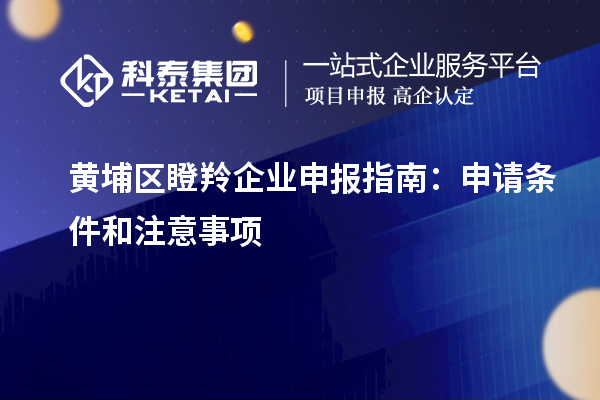 黃埔區瞪羚企業申報指南：申請條件和注意事項