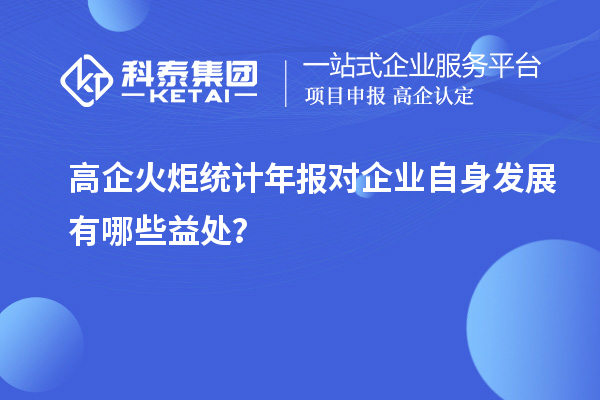 高企火炬統計年報對企業自身發展有哪些益處？