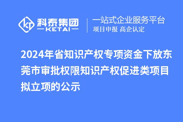 2024年省知識產權專項資金下放東莞市審批權限知識產權促進類項目擬立項的公示