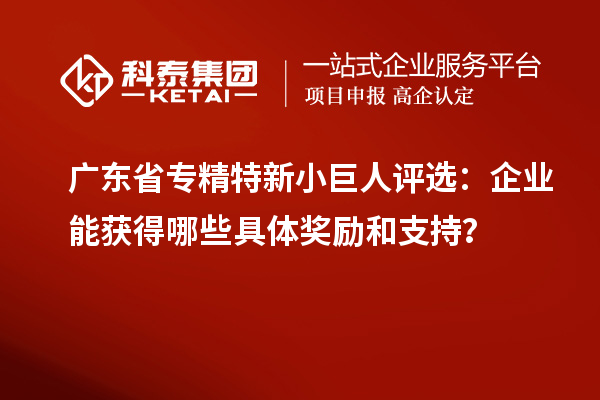 廣東省專精特新小巨人評(píng)選：企業(yè)能獲得哪些具體獎(jiǎng)勵(lì)和支持？