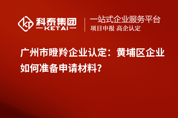 廣州市瞪羚企業(yè)認定：黃埔區(qū)企業(yè)如何準備申請材料？