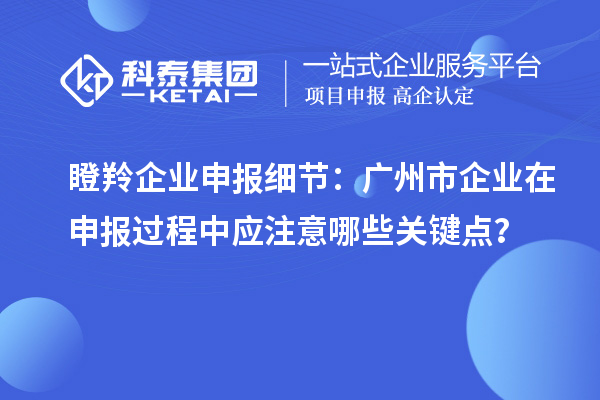 瞪羚企業(yè)申報細節(jié)：廣州市企業(yè)在申報過程中應注意哪些關鍵點？