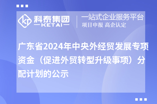 廣東省2024年中央外經貿發展專項資金（促進外貿轉型升級事項）分配計劃的公示
