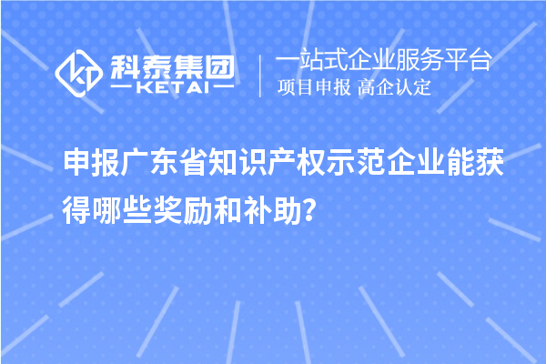 申報廣東省知識產權示范企業能獲得哪些獎勵和補助？