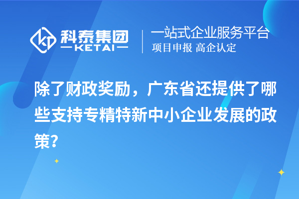 除了財(cái)政獎(jiǎng)勵(lì)，廣東省還提供了哪些支持專精特新中小企業(yè)發(fā)展的政策？