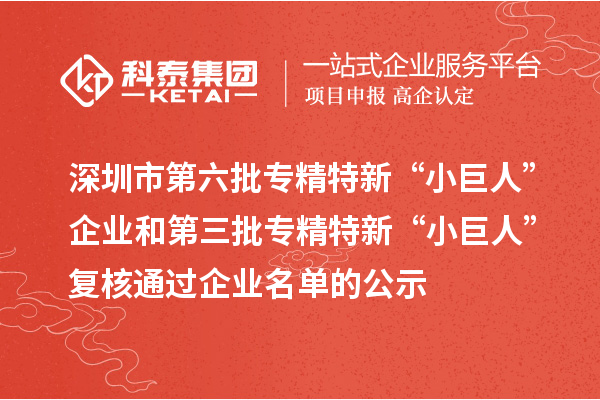 深圳市第六批專精特新“小巨人”企業(yè)和第三批專精特新“小巨人”復(fù)核通過(guò)企業(yè)名單的公示