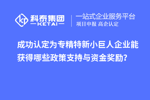 成功認定為專精特新小巨人企業能獲得哪些政策支持與資金獎勵？