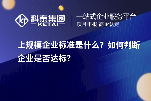 上規(guī)模企業(yè)標(biāo)準(zhǔn)是什么？如何判斷企業(yè)是否達(dá)標(biāo)？