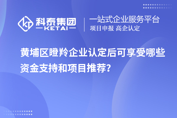 黃埔區<a href=http://www.xjsygy.com/fuwu/dengling.html target=_blank class=infotextkey>瞪羚企業認定</a>后可享受哪些資金支持和項目推薦？