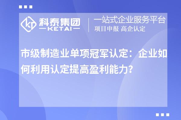 市級制造業單項冠軍認定：企業如何利用認定提高盈利能力？