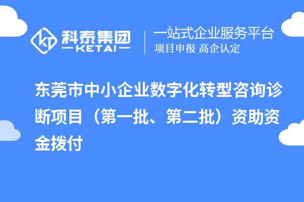 東莞市中小企業(yè)數(shù)字化轉(zhuǎn)型咨詢診斷項目（第一批、第二批）資助資金撥付