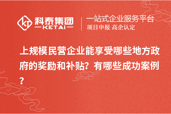 上規模民營企業能享受哪些地方政府的獎勵和補貼？有哪些成功案例？