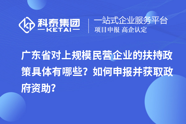 廣東省對上規模民營企業的扶持政策具體有哪些？如何申報并獲取政府資助？