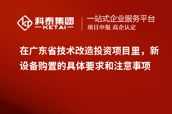 在廣東省技術改造投資項目里，新設備購置的具體要求和注意事項
