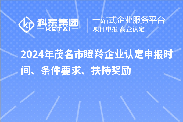 2024年茂名市瞪羚企業(yè)認(rèn)定申報(bào)時(shí)間、條件要求、扶持獎(jiǎng)勵(lì)