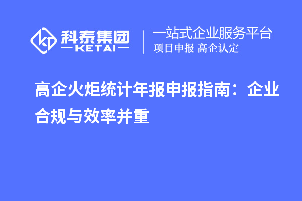  高企火炬統計年報申報指南：企業合規與效率并重