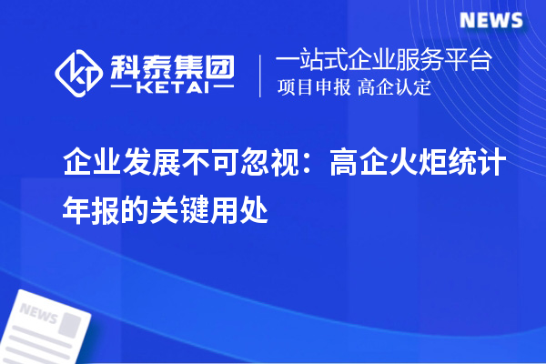 企業發展不可忽視：高企火炬統計年報的關鍵用處