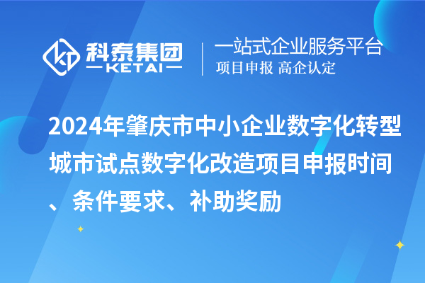 2024年肇慶市中小企業(yè)數字化轉型城市試點數字化改造項目申報時間、條件要求、補助獎勵