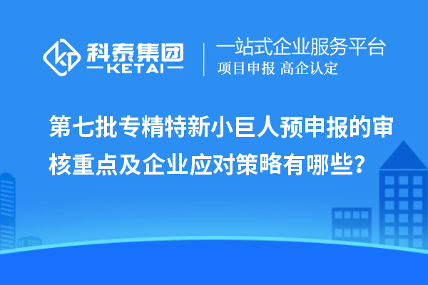 第七批專精特新小巨人預(yù)申報的審核重點(diǎn)及企業(yè)應(yīng)對策略有哪些？