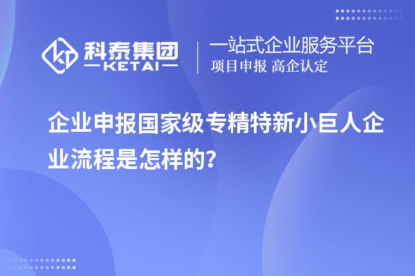 企業(yè)申報國家級專精特新小巨人企業(yè)流程是怎樣的？
