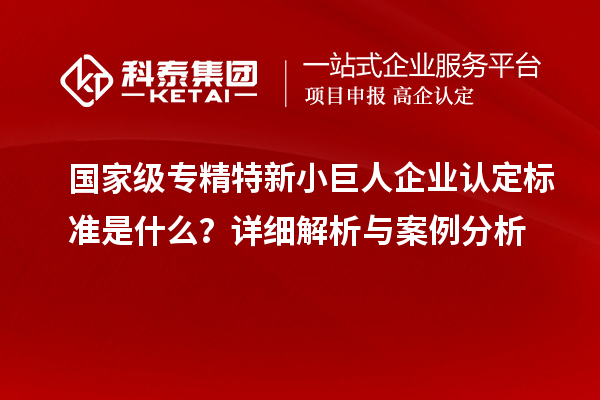 國家級專精特新小巨人企業(yè)認(rèn)定標(biāo)準(zhǔn)是什么？詳細(xì)解析與案例分析