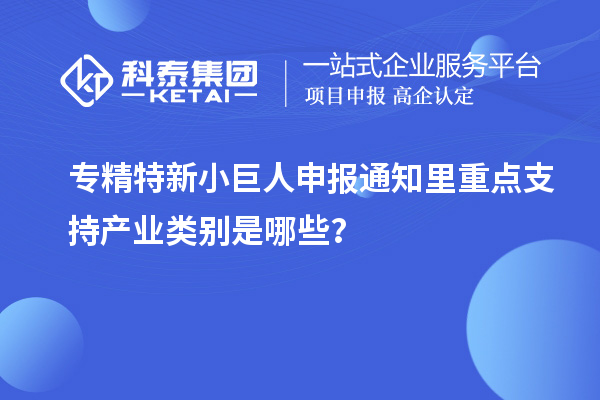 <a href=http://www.xjsygy.com/fuwu/zhuanjingtexin.html target=_blank class=infotextkey>專精特新小巨人申報</a>通知里重點支持產業類別是哪些？