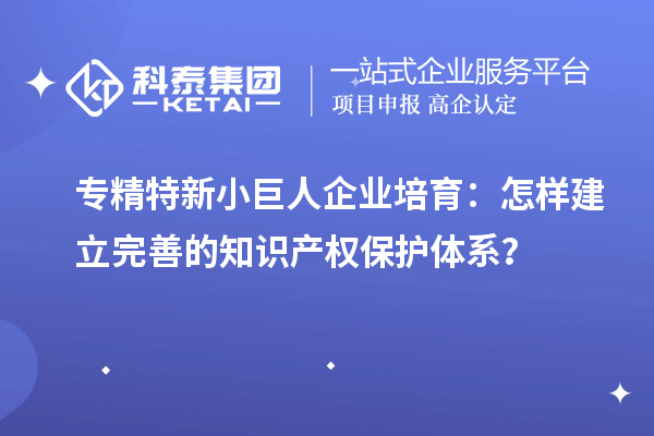 專精特新小巨人企業(yè)培育：怎樣建立完善的知識產(chǎn)權保護體系？