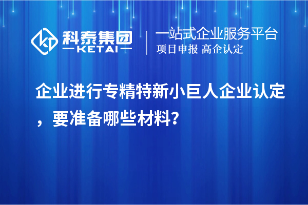 企業進行專精特新小巨人企業認定，要準備哪些材料？