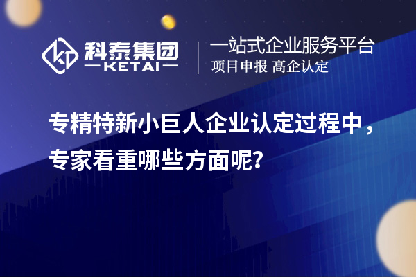 專精特新小巨人企業認定過程中，專家看重哪些方面呢？
