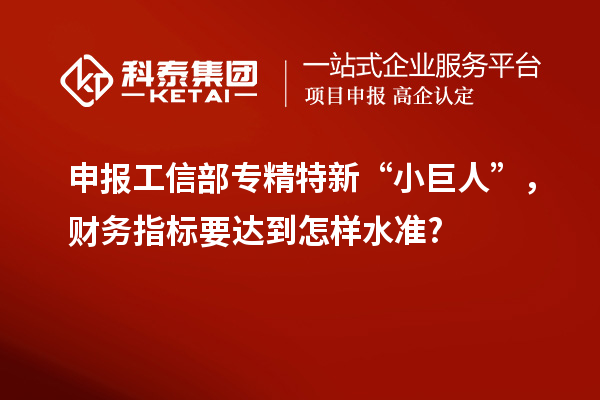 申報工信部專精特新 “小巨人”，財務指標要達到怎樣水準?