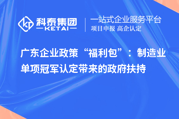 廣東企業政策“福利包”：制造業單項冠軍認定帶來的政府扶持