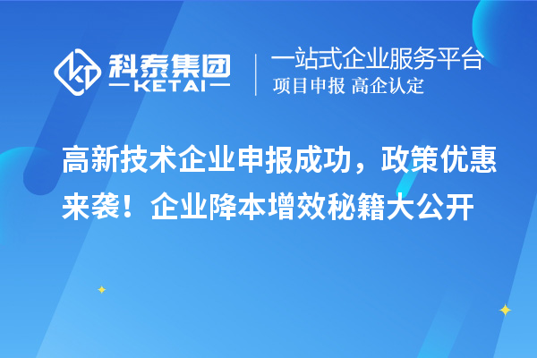 高新技術企業申報成功，政策優惠來襲！企業降本增效秘籍大公開