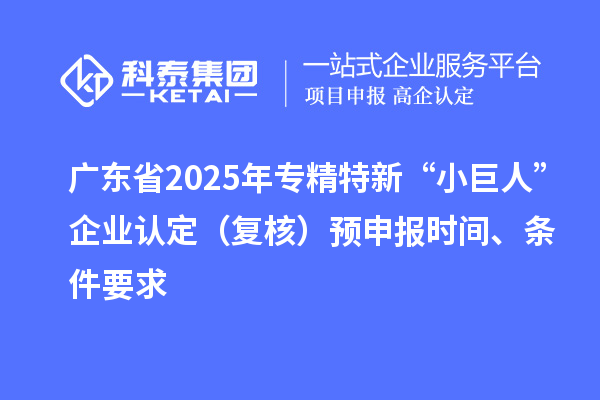 廣東省2025年專精特新“小巨人”企業(yè)認定（復核）預申報時間、條件要求