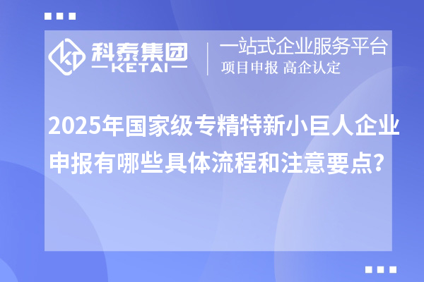 2025年國家級專精特新<a href=http://www.xjsygy.com/zjtx/ target=_blank class=infotextkey>小巨人企業(yè)申報</a>有哪些具體流程和注意要點？