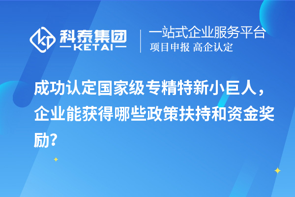 成功認定國家級專精特新小巨人，企業能獲得哪些政策扶持和資金獎勵？