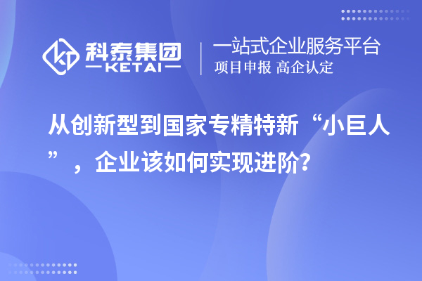 從創新型到國家專精特新“小巨人”，企業該如何實現進階？