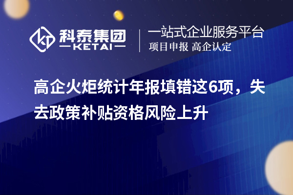 高企火炬統(tǒng)計(jì)年報(bào)填錯(cuò)這6項(xiàng)，失去政策補(bǔ)貼資格風(fēng)險(xiǎn)上升