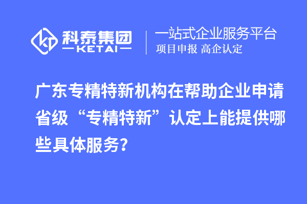 廣東專精特新機構在幫助企業申請省級 “專精特新” 認定上能提供哪些具體服務？