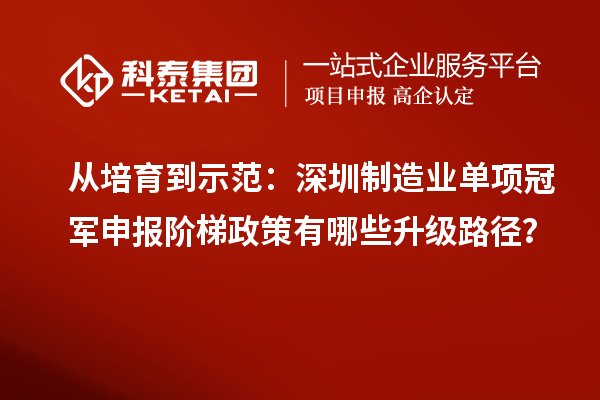 從培育到示范：深圳制造業單項冠軍申報階梯政策有哪些升級路徑？