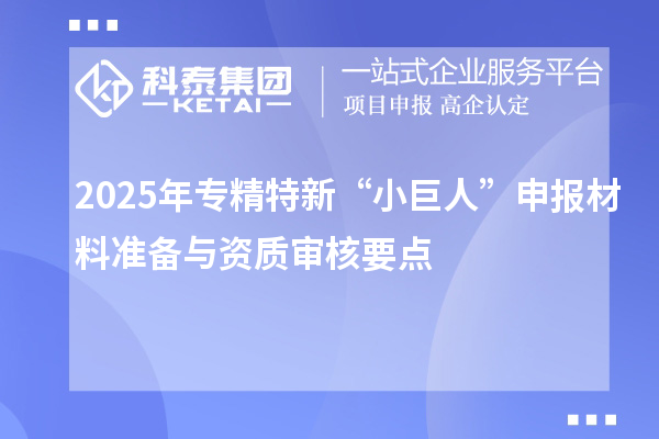 2025年專精特新“小巨人”申報材料準(zhǔn)備與資質(zhì)審核要點(diǎn)