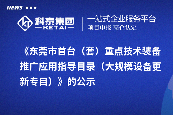 《東莞市首臺（套）重點技術裝備推廣應用指導目錄（大規模設備更新專目）》的公示