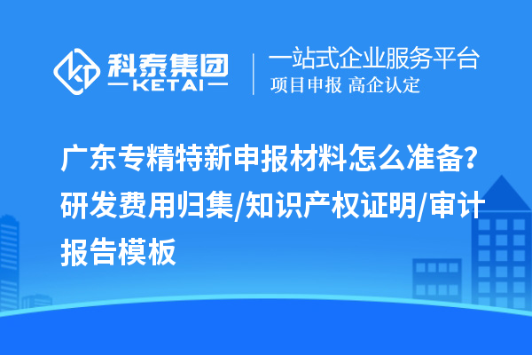 廣東專精特新申報(bào)材料怎么準(zhǔn)備？研發(fā)費(fèi)用歸集/知識(shí)產(chǎn)權(quán)證明/審計(jì)報(bào)告模板