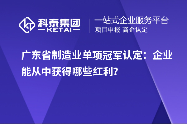 廣東省制造業單項冠軍認定：企業能從中獲得哪些紅利？